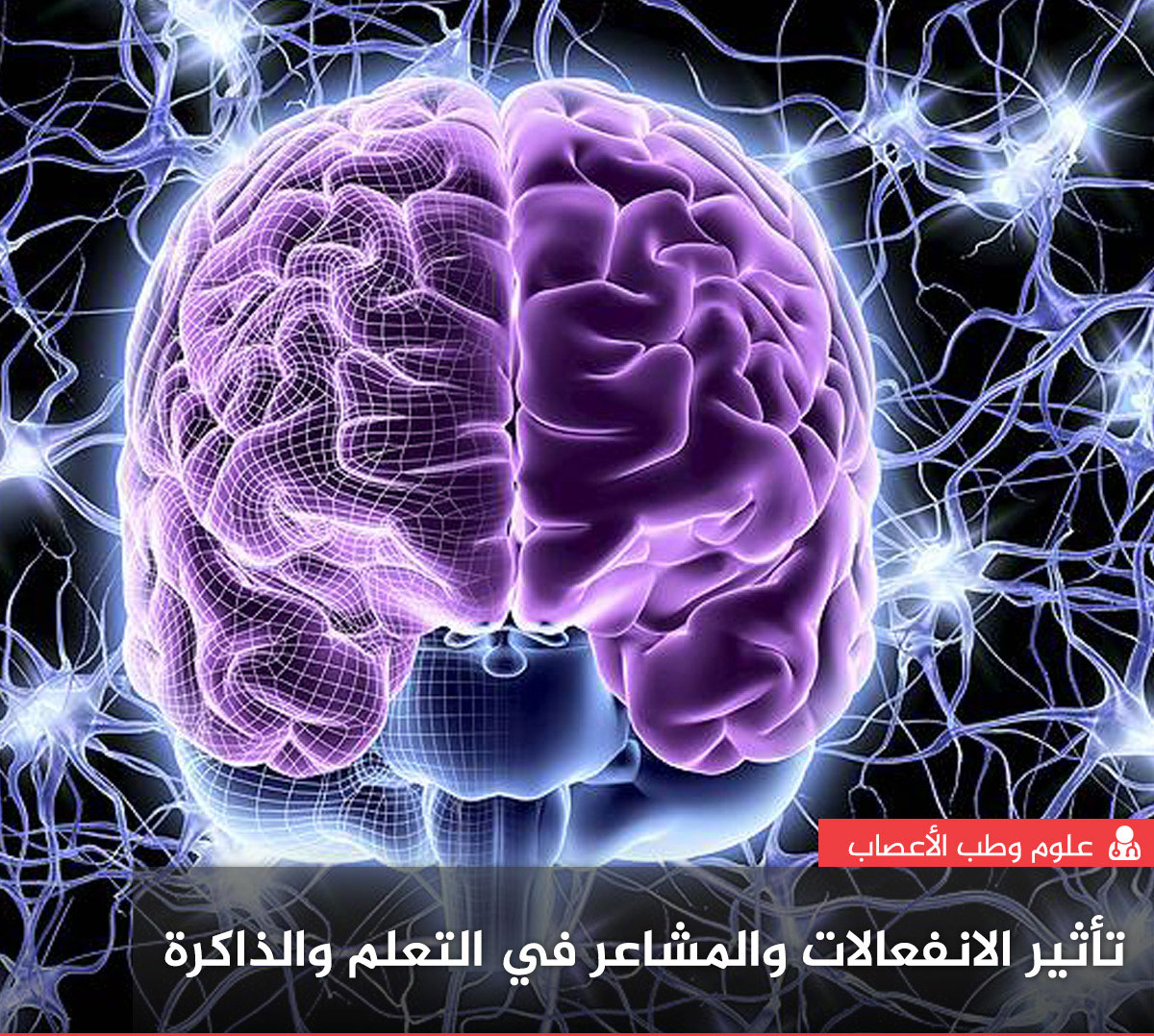دراسة جديدة تكشف وللمرة اﻷولى كيف تؤثر الانفعالات في عمليات التعلم والذاكرة في الدماغ