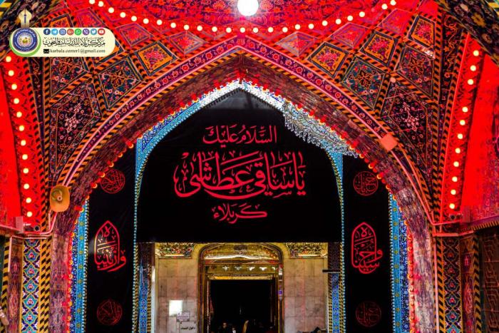 صورة إضافية