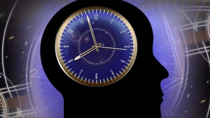 الساعة البيولوجية.. منبه صحي وتعثرها يؤدي للمرض