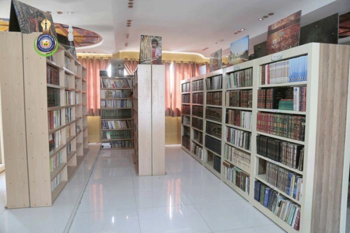 صورة إضافية