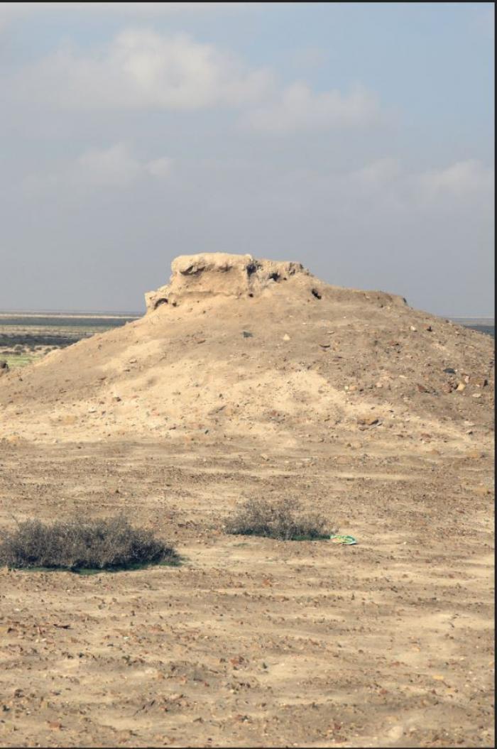 صورة إضافية