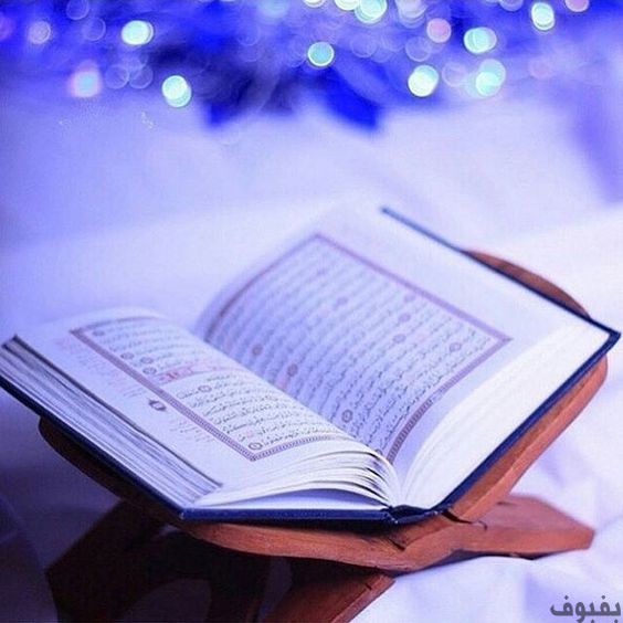 إضاءات في تزكية النفس