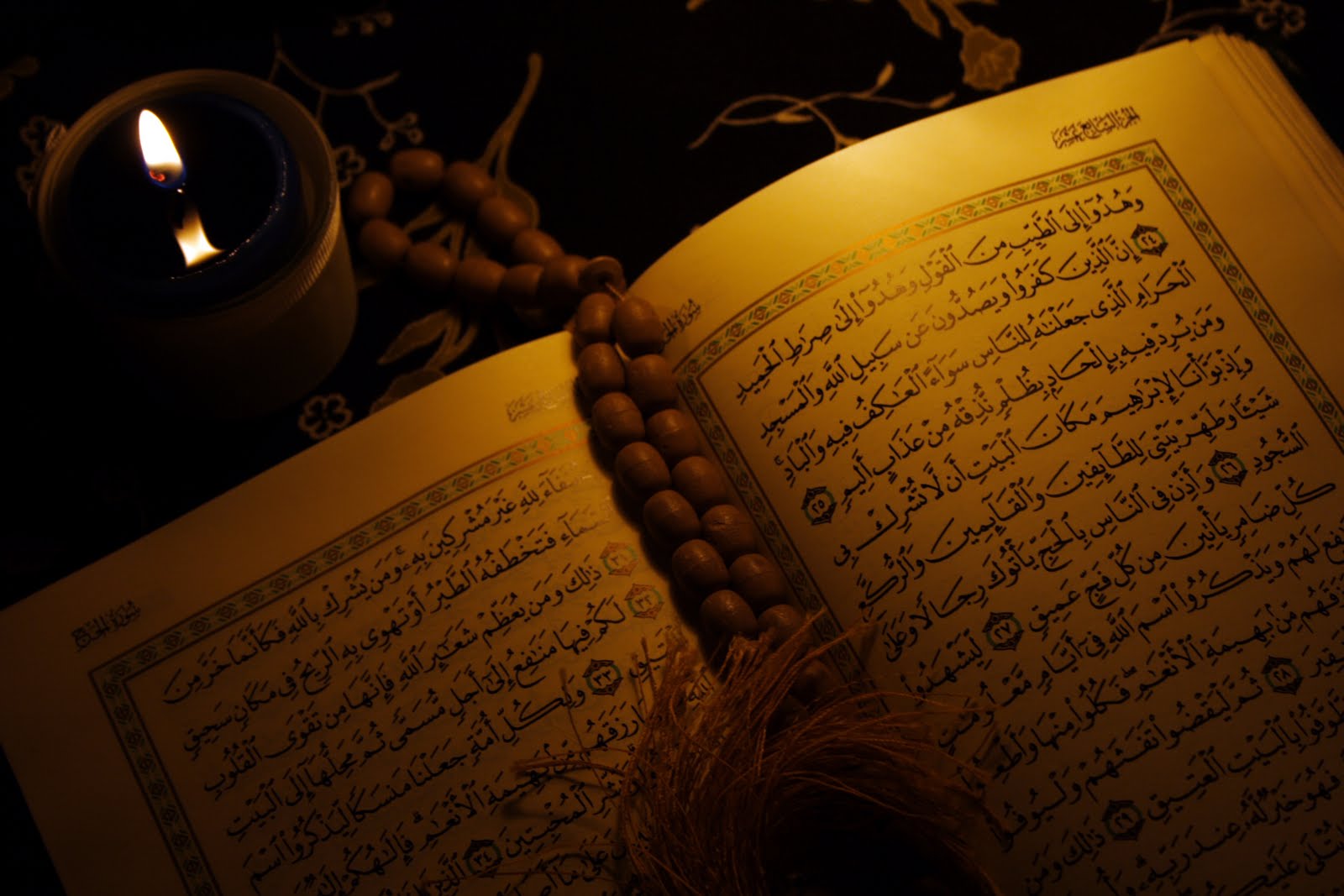 اضاءات في تزكية النفس (السعادة والشقاء في الحياتين الدنيا والاخرة )