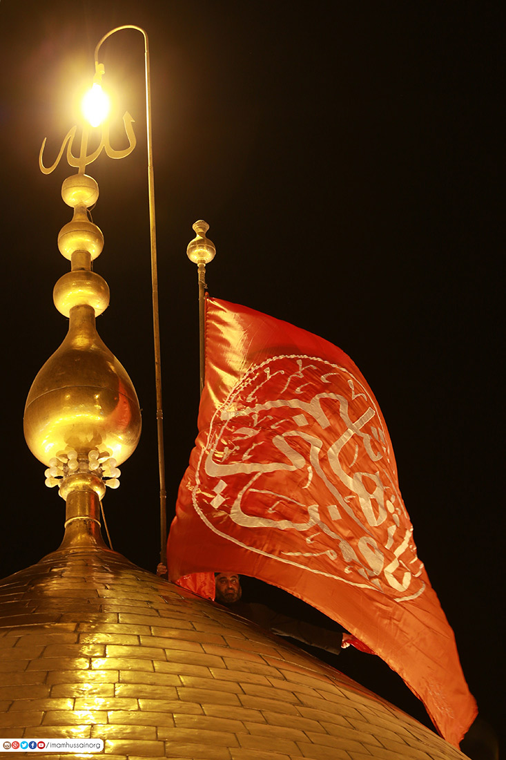 صورة إضافية