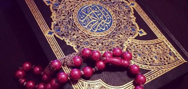 اضاءات في تزكية النفس (صدق القاعدة في شأن النعم والعناء بالمنظور الأخروي)