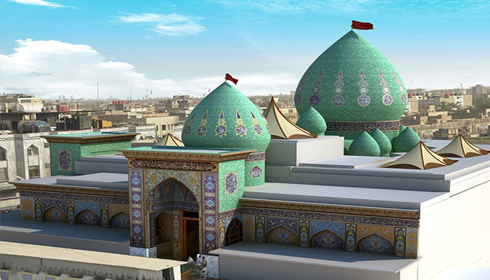 صورة إضافية