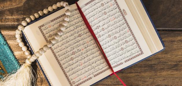 اضاءات في تزكية النفس (استجابة الله سبحانه للإنسان في ما توجه به إليه)