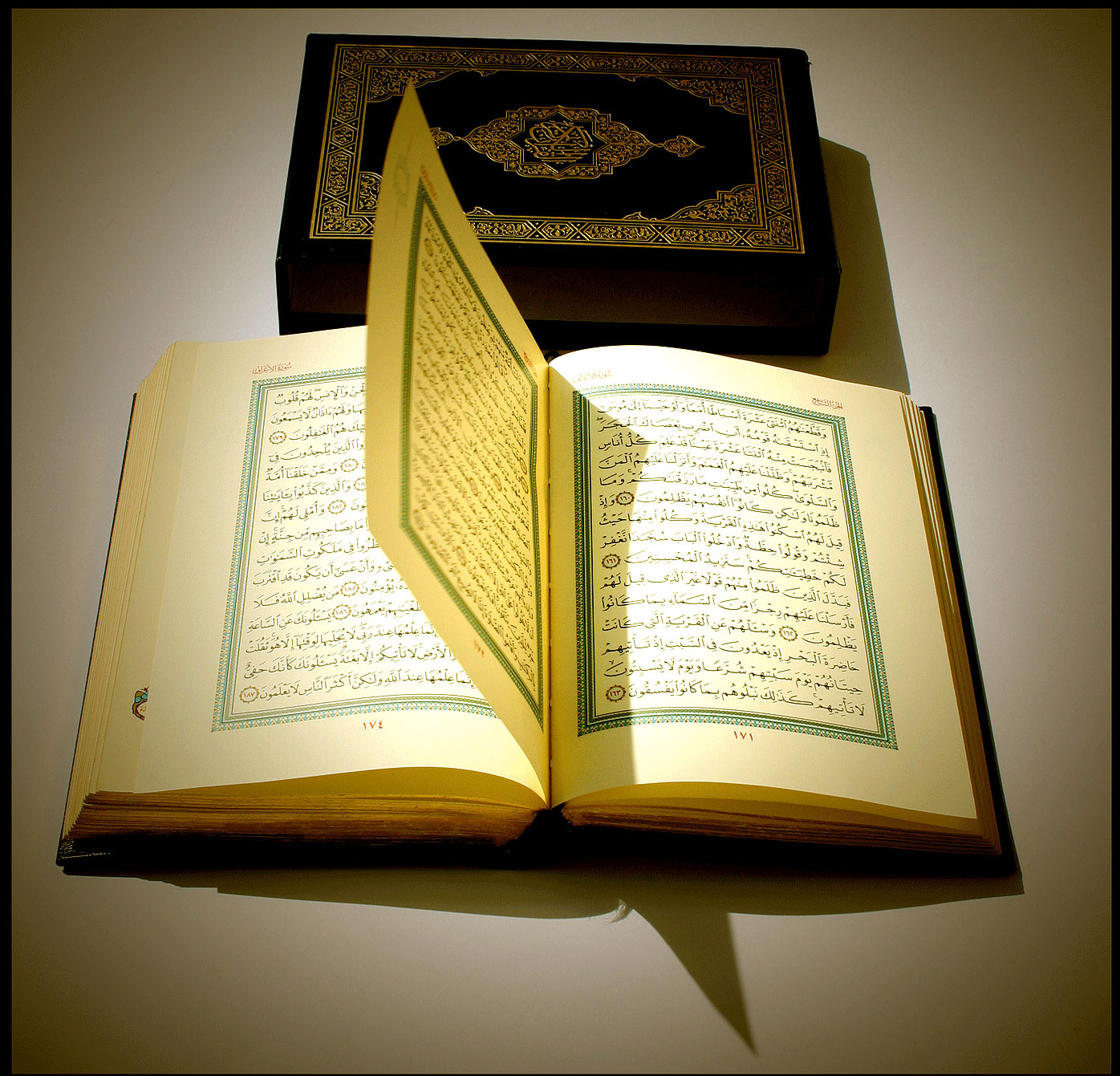 اضاءات في تزكية النفس (العوارض السلبية الأخلاقية )