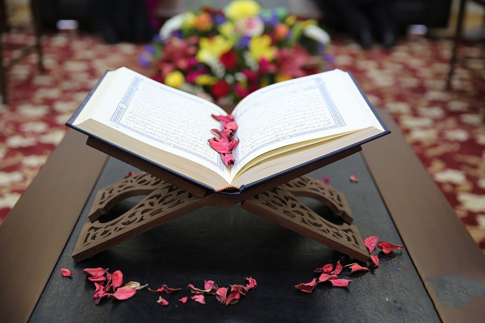 اضاءات في تزكية النفس (تحصيل السعادة الكبرى )