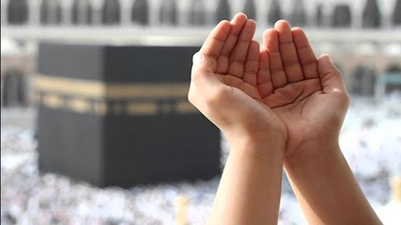 اضاءات في تزكية النفس (المشاعر النفسية للإنسان)