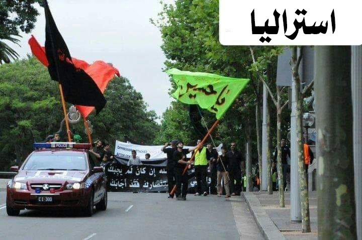 بالصور - اربعينية الامام الحسين عليه السلام – بعيون العالم