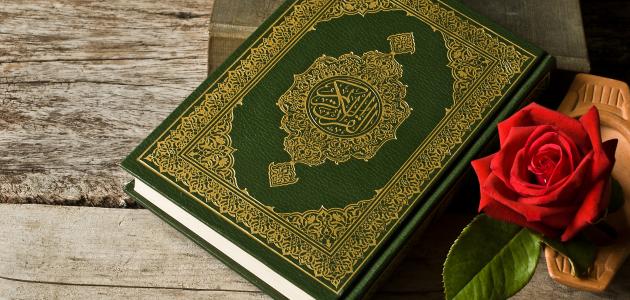 اضاءات في تزكية النفس (عرض حاجات الانسان بأساليب جذابة)