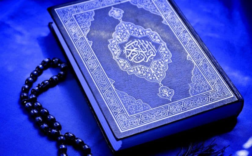 اضاءات في تزكية النفس ( الفرق بين الدواعي الفطرية والدوافع العالية)