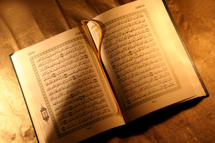اضاءات في تزكية النفس (الدواعي الفطرية العالية )