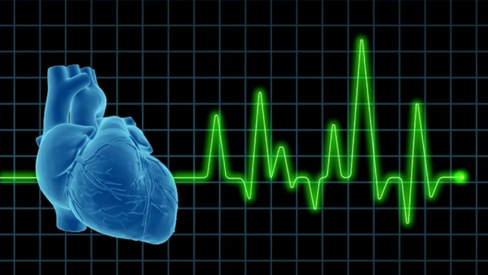 هل تعلم.. بكم تقدر سرعة نبض قلب الانسان؟