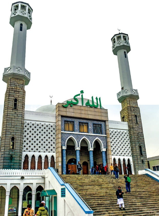 صورة إضافية