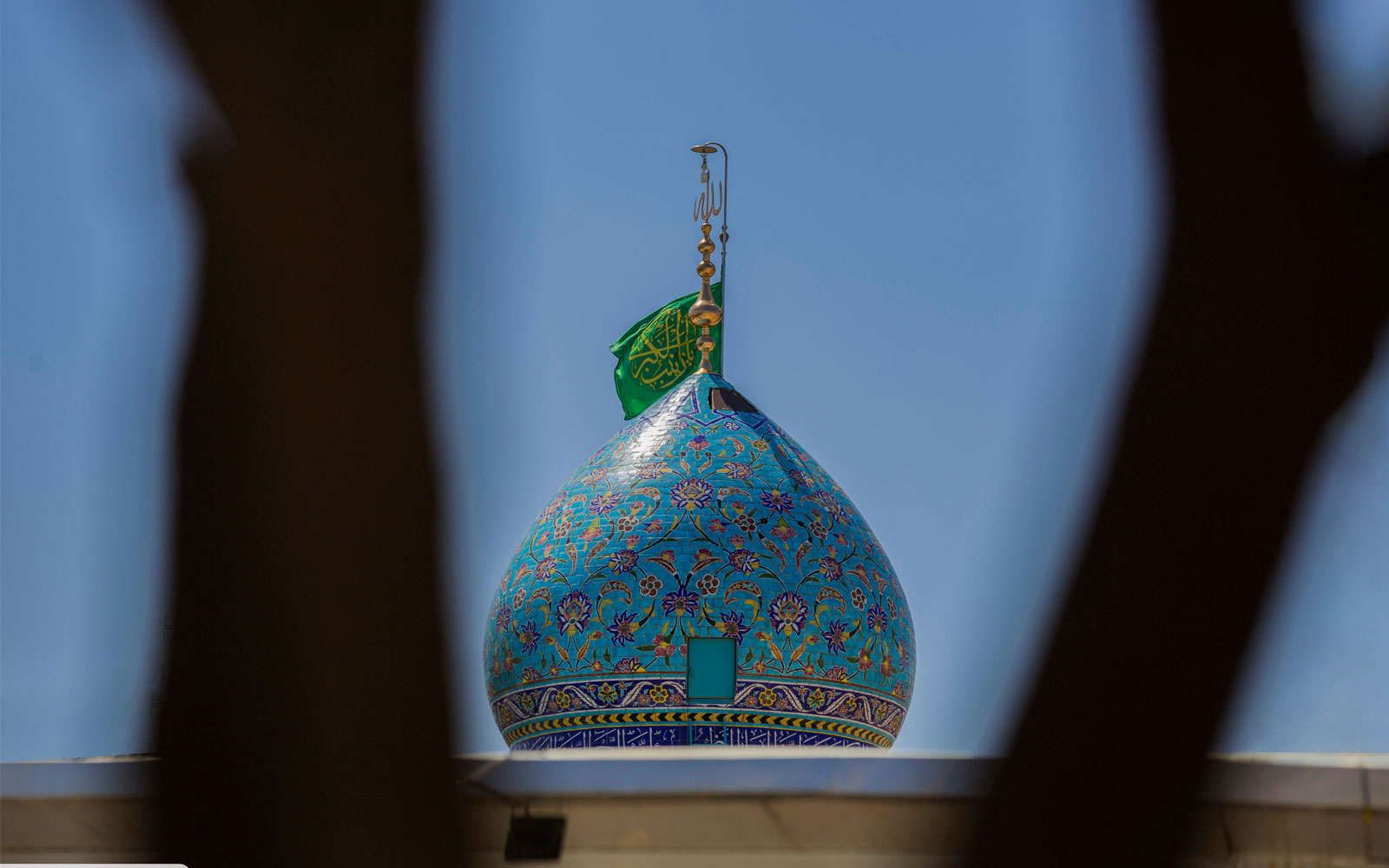 صورة إضافية
