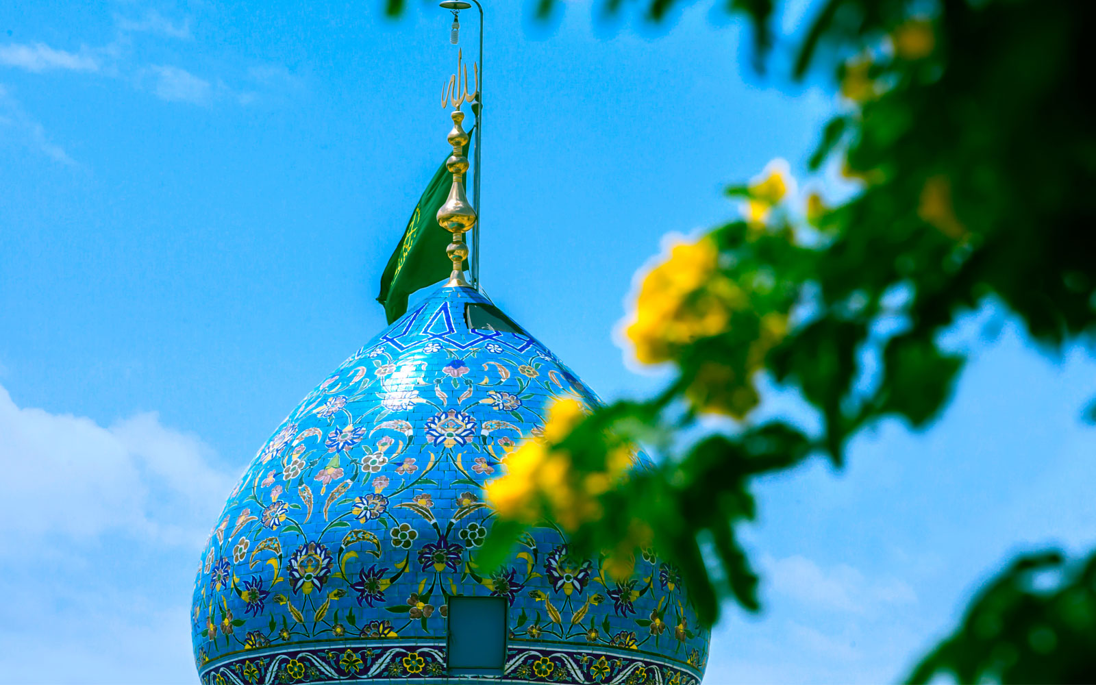 صورة إضافية