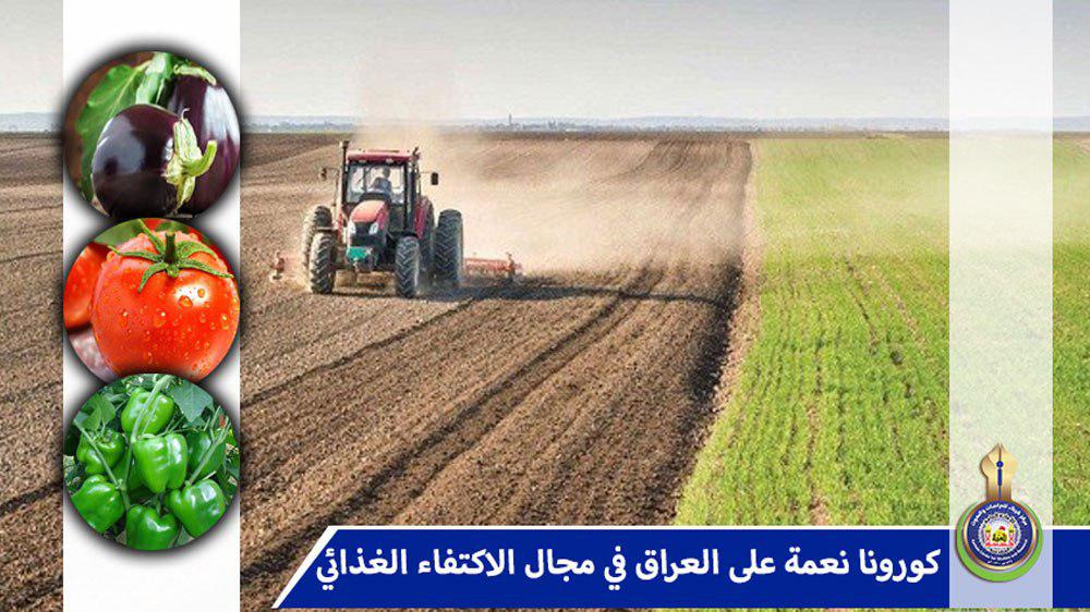 كورونا نعمة على العراق في مجال الاكتفاء الغذائي