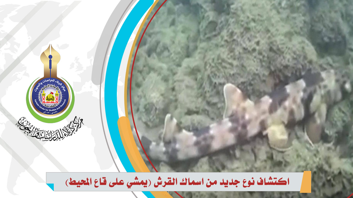 اكتشاف نوع جديد من اسماك القرش (يمشي في قاع المحيط)