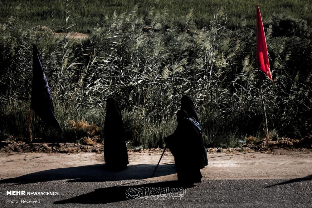 صورة إضافية
