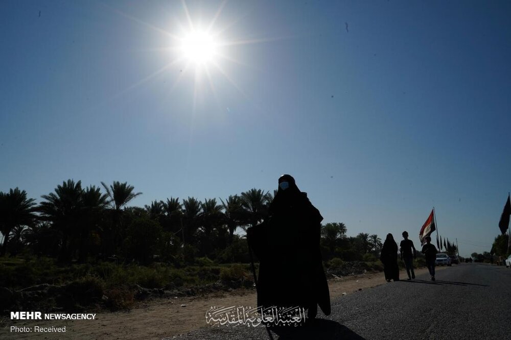 صورة إضافية