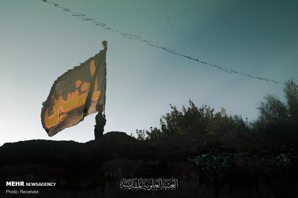 صورة إضافية