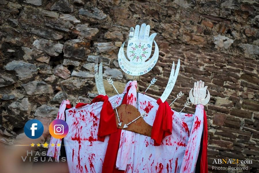 صورة إضافية