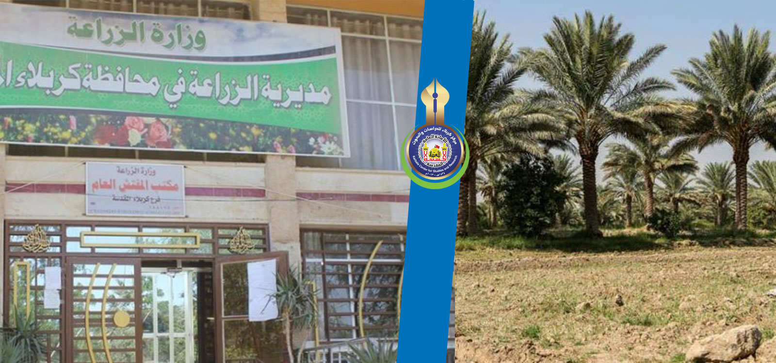 شباب كربلاء يطلقون مبادرة يلا نزرع لمواجهة التغير المناخي للبلد