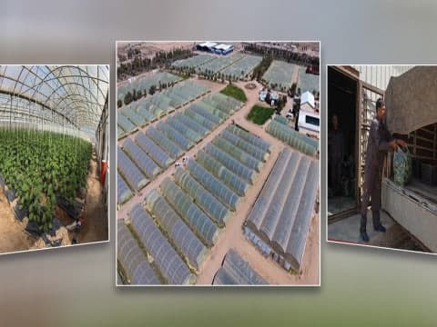 منتجات العتبة الحسينية تحدّ من الإستيراد لغاية منتصف آيار القادم