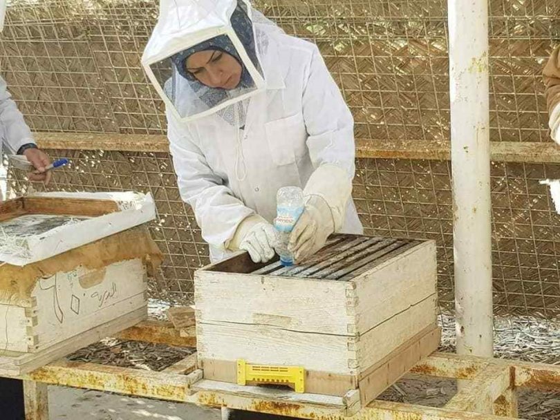 صورة إضافية