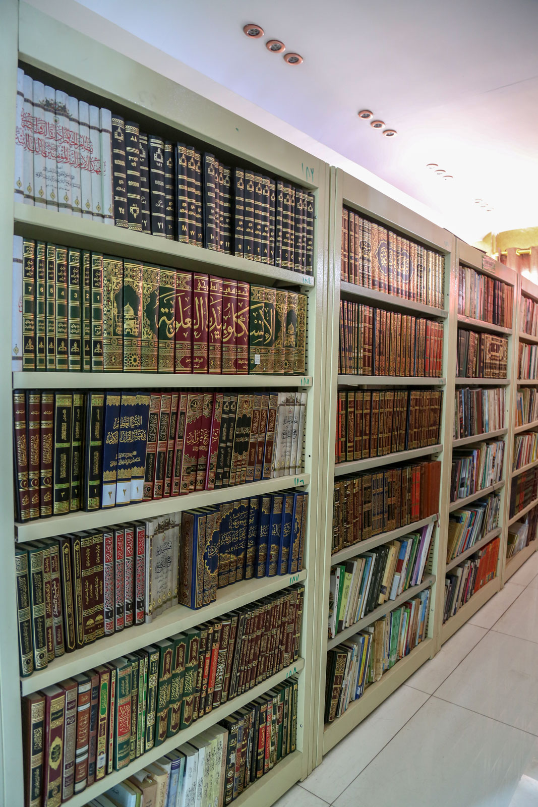 صورة إضافية