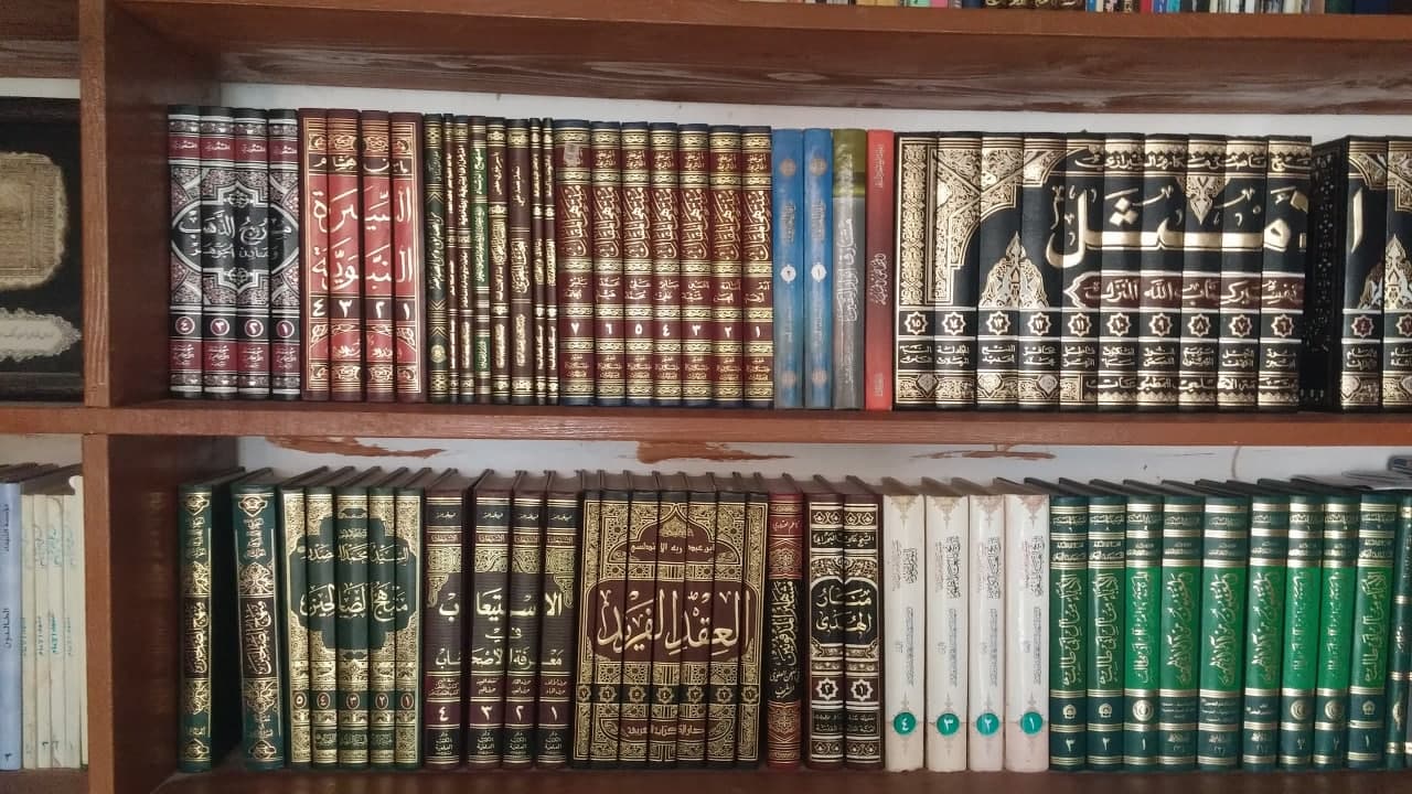 صورة إضافية