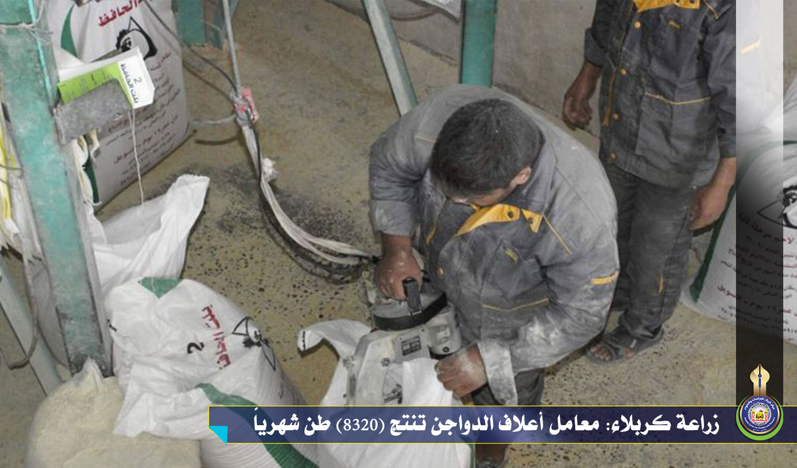 زراعة كربلاء: معامل أعلاف الدواجن تنتج (8320) طن شهرياً