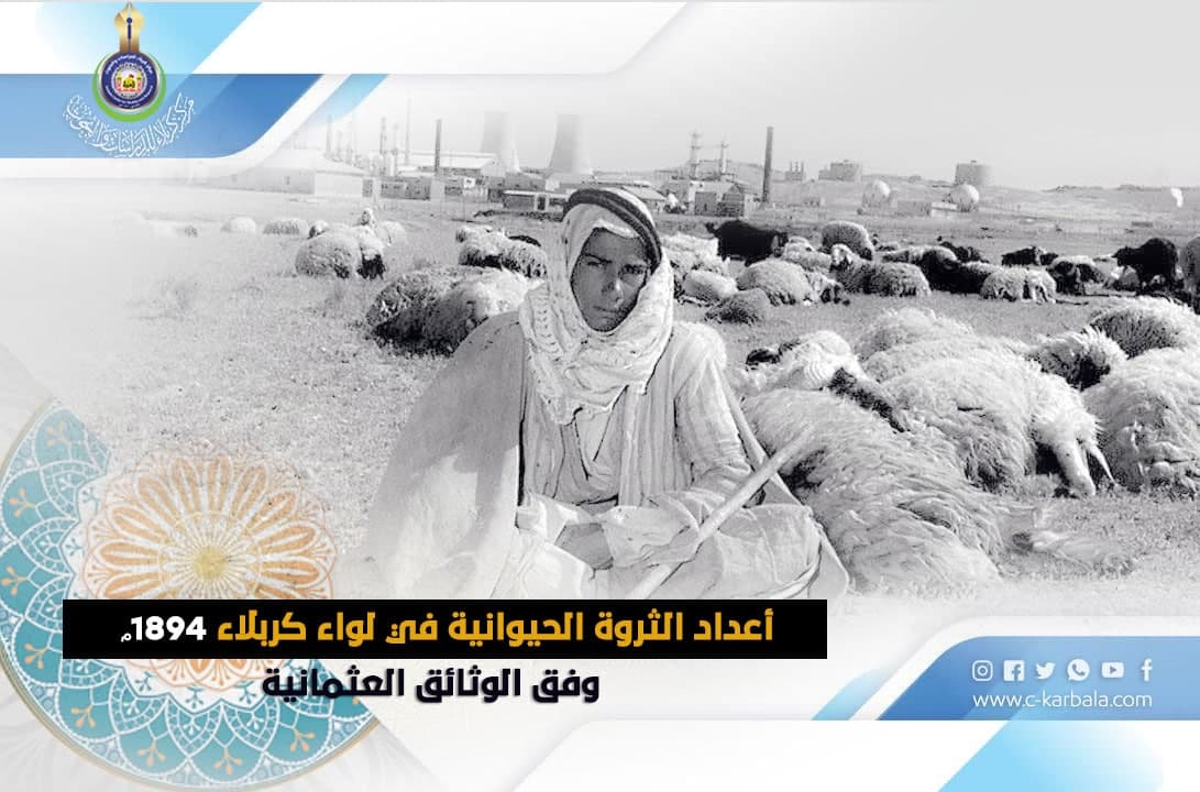 أعداد الثروة الحيوانية في لواء كربلاء 1894م وفق الوثائق العثمانية