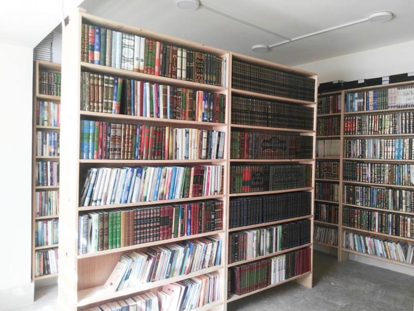 صورة إضافية
