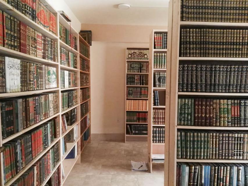 صورة إضافية