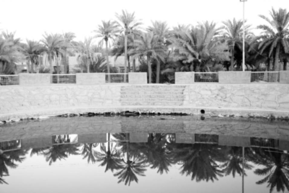 مركز كربلاء ينشر نتائج دراساته عن العيون والينابيع المائية في المحافظة... "أم الگواني"