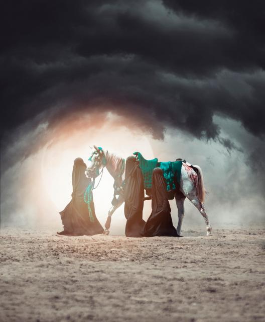 أليس هناك حلول سلميّة أخرى ... لماذا الشهادة ؟
