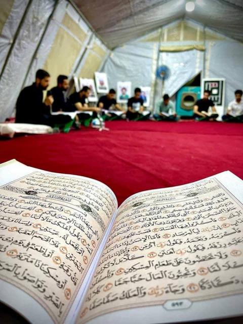 صورة إضافية