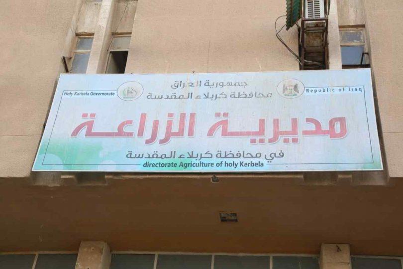 المنتوج الوطني .. كربلاء تعلن الاكتفاء من لحوم الدواجن و الوزارة تمنع الاستيراد بسبب الوفرة المحلية