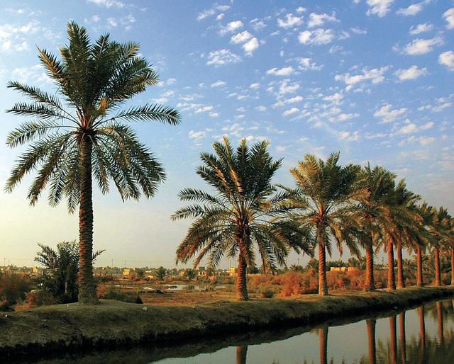 مجلة السبط : الاوضاع الزراعية في كربلاء عام 1917