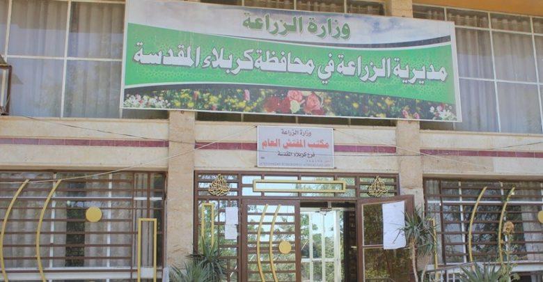 زراعة كربلاء تعلن تحقيق الاكتفاء الذاتي من الدجاج الحي !
