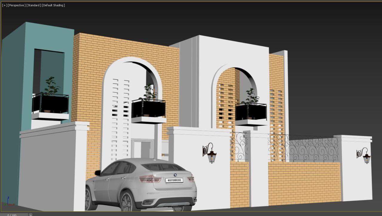 صورة إضافية