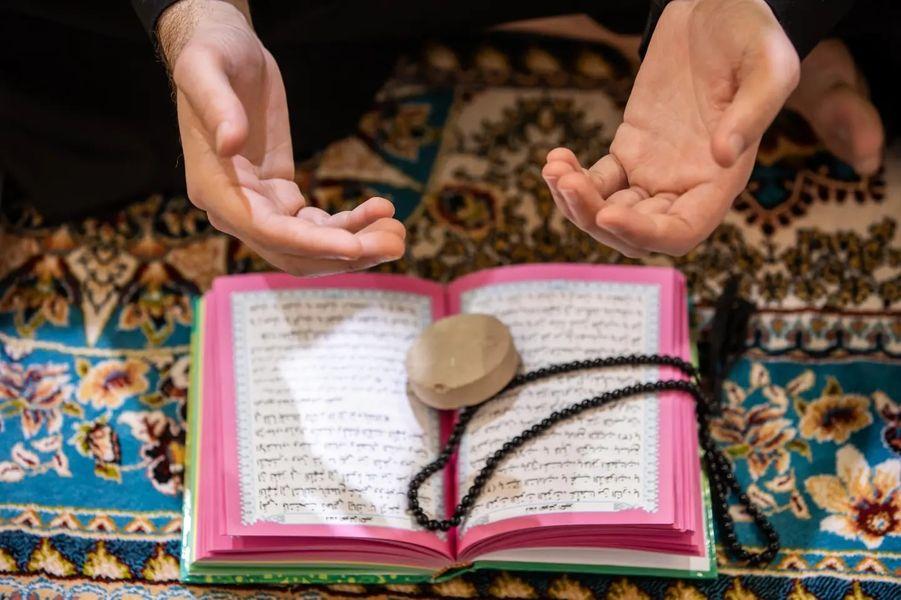 صورة إضافية