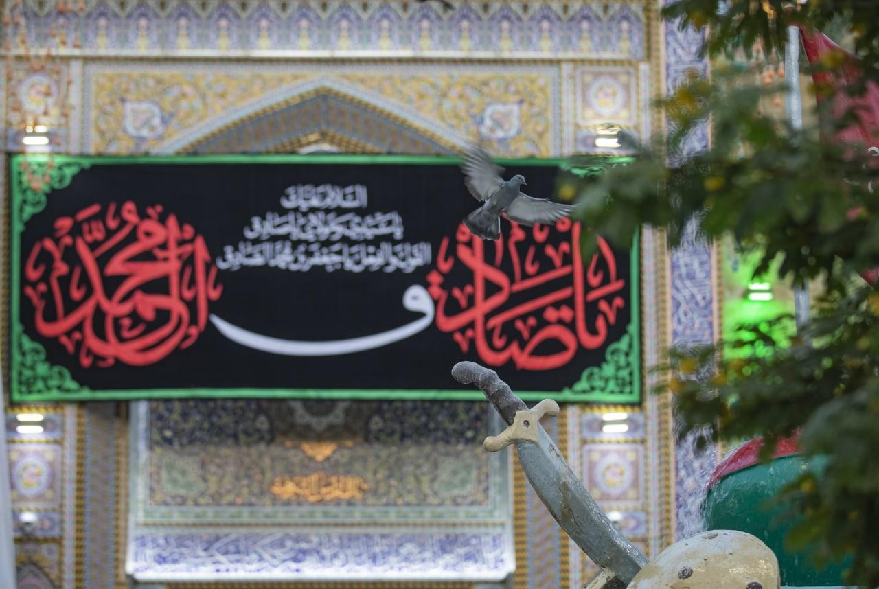صورة إضافية