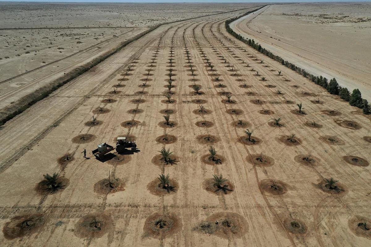 Karbala's new "Green Belt" to combat weather fluctuations