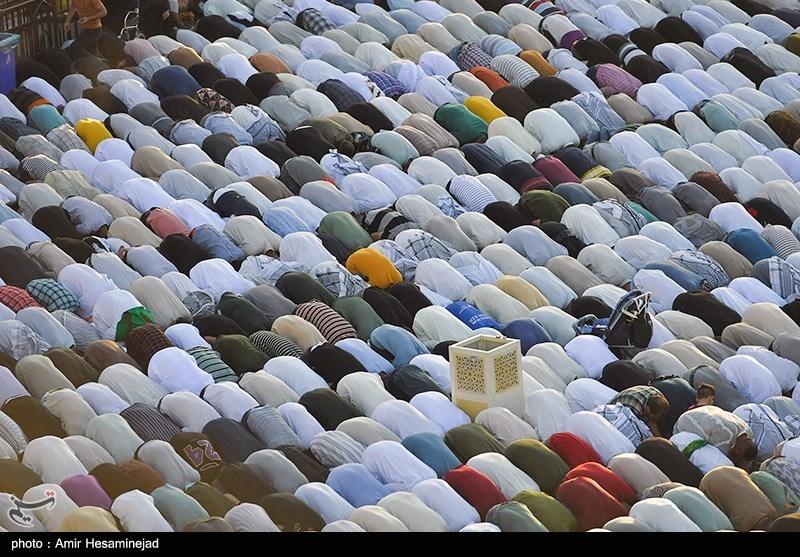 صورة إضافية