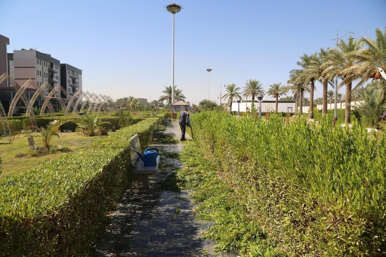 صورة إضافية