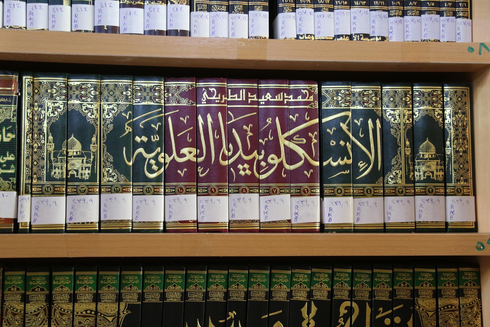 صورة إضافية